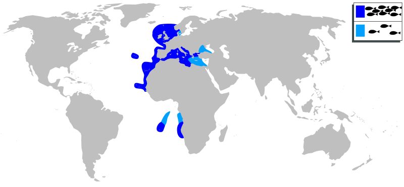 File:Spondyliosoma cantharus mapa.svg