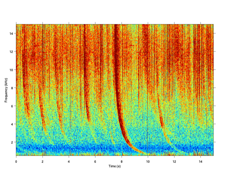 File:VLF whistler.png