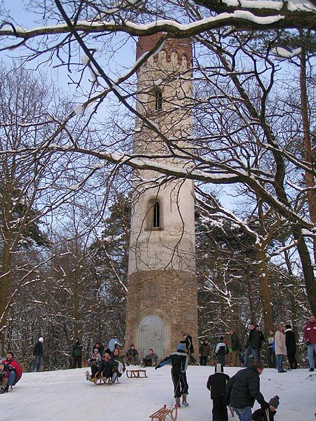 File:Aussichtsturm Lohne.JPG