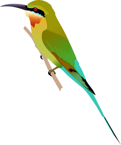 File:Blue-tailed Bee-eater.svg