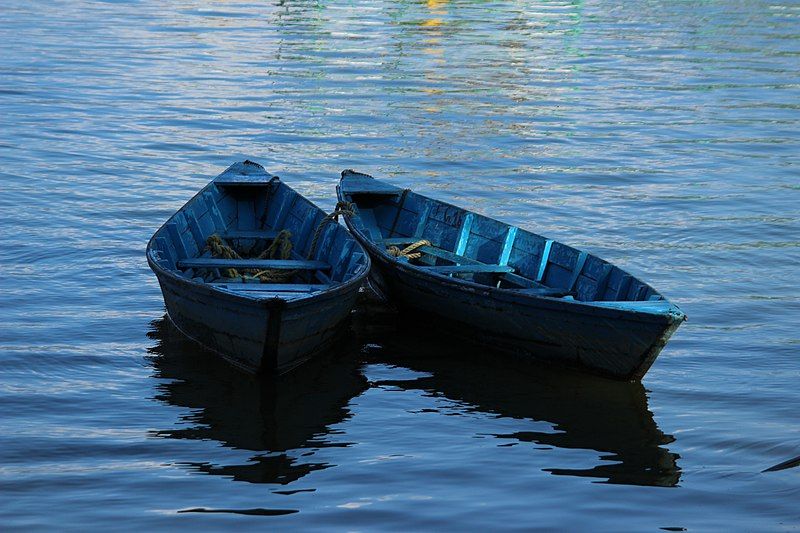 File:Canoes in Phewa.jpg