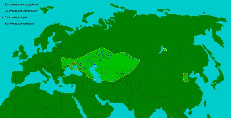 File:Distribution of Elasmotherium.png