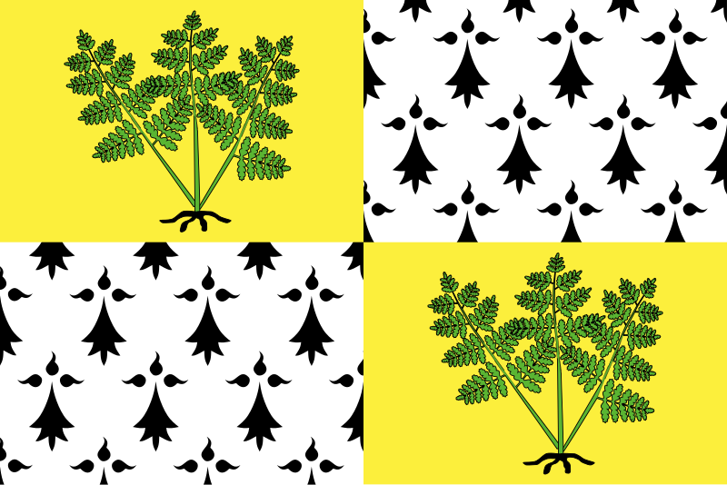 File:Flag of Fougères.svg