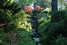 water trickling down a hillside in a series of waterfalls with flowers and other vegetation on either side