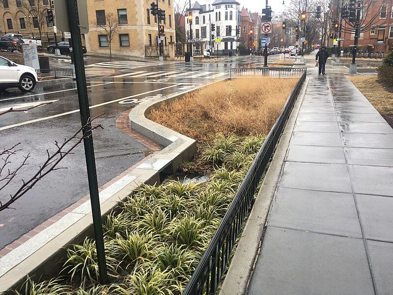 File:Meridian Hill Bioswale.jpg