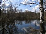 Wetlands in Meshcheyora NP