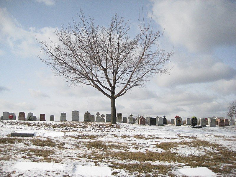 File:Mount Hope Cemetery.JPG