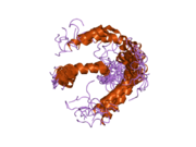 1z9i: A Structural Model for the Membrane-Bound Form of the Juxtamembrane Domain of the Epidermal Growth Factor Receptor