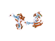 2h5g: Crystal structure of human pyrroline-5-carboxylate synthetase