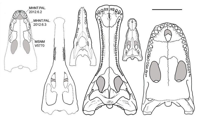 File:Razanandrongobe-fig9-recon.jpg