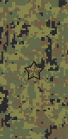 File:Russia-Army-OF-1a-camo (2010).svg