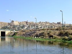 The fortress and town of Shaizar