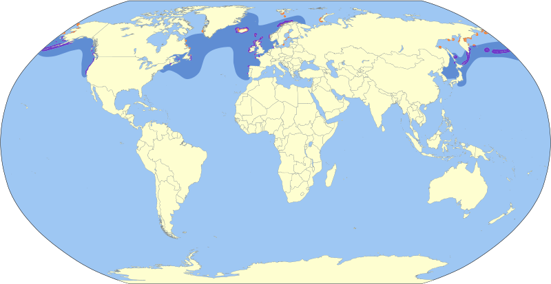 File:Uria aalge map.svg