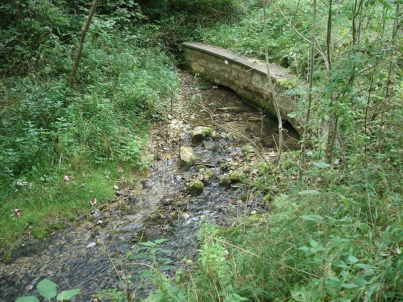 File:Weiße Lauterursprung Hauptquelle.JPG