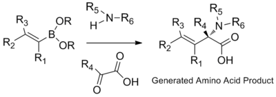 Alpha amino acid synthesis