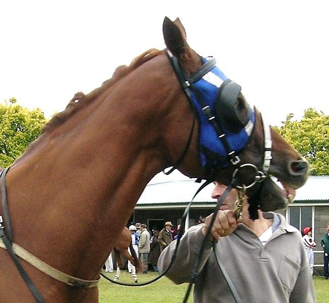 File:Blinkers crop.jpg