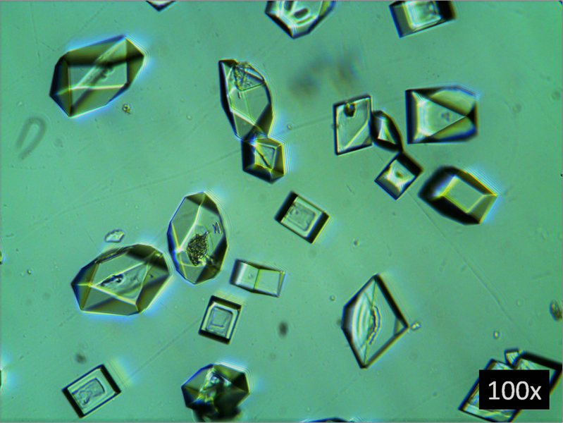 File:Crystals KClO4.png