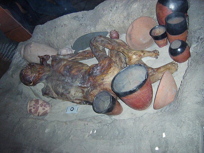 File:Egyptian predynastic grave.JPG