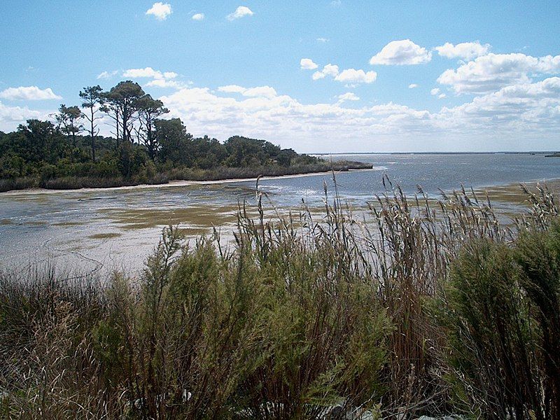 File:FalseCapeBackBay1.wmg.jpg