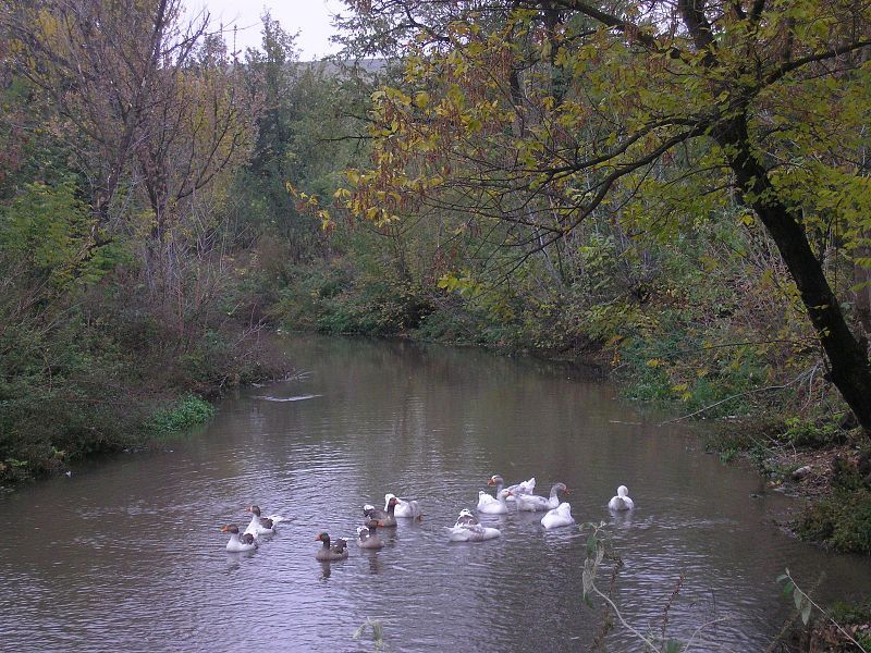 File:Gostilya gyski.JPG