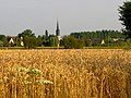 Congé-sur-Orne from the road of Dangeul