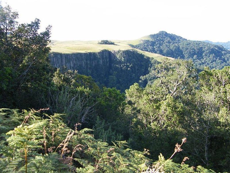 File:Karkloof Forest01.jpg