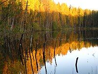 Lake Kuradijärv