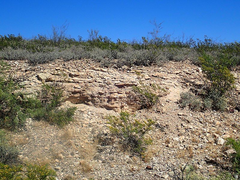 File:Lake Valley Limestone.jpg