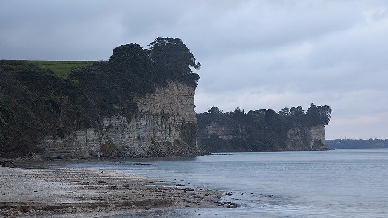 File:Long Bay cliffs.jpg