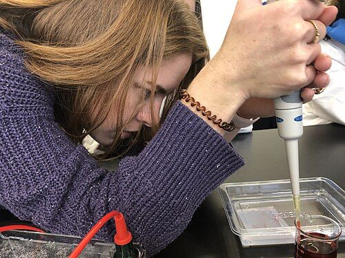 Micropipette focus by Maggieliv. A biomedical science teacher puts simulated DNA into the gel for electrophoresis.