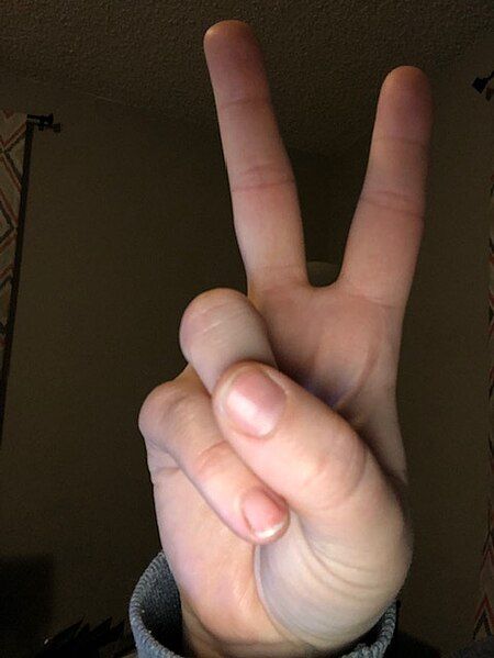 File:Peace Sign.jpg