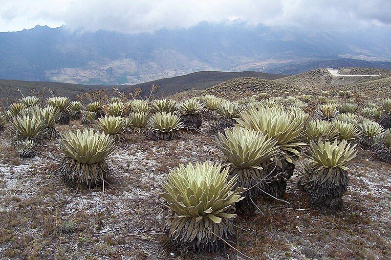 File:Piedrasblancas.JPG