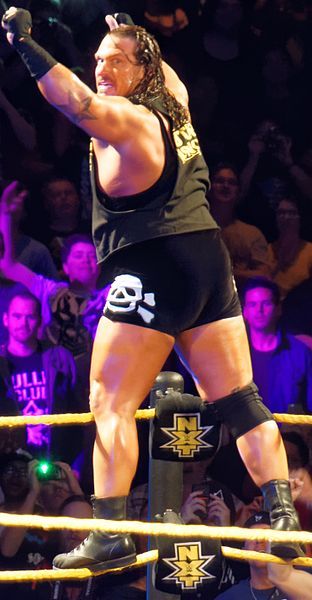 File:Rhyno NXT.jpg