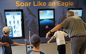 Guest play the SOAR Like An Eagle interactive game.