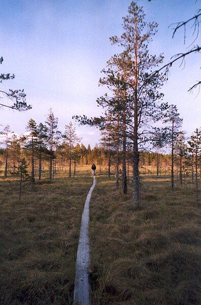 File:Salamajärvi national park.jpg