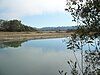 Tide water flows into the restored Salt River