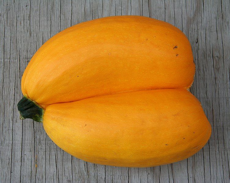 File:TwinZucchini.jpg