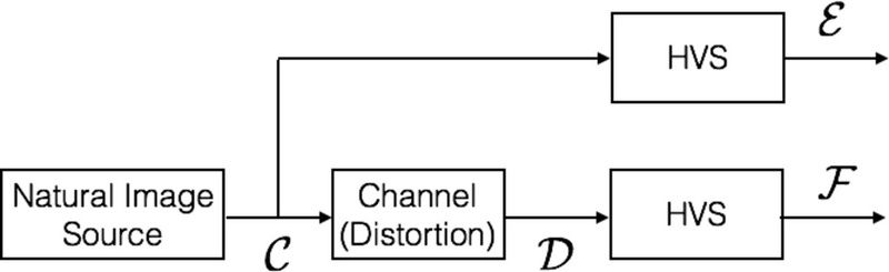 File:Vif wiki.pdf