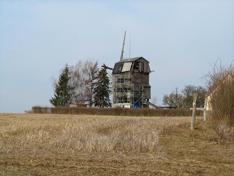 File:Wallwitz (Petersberg), Windmühle.jpg