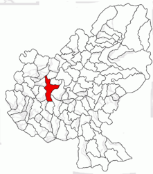 Location in Mureș County