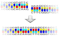 Blunt-ended DNA ligation