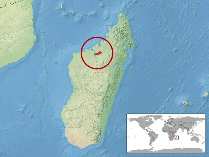 File:Brookesia decaryi distribution.png