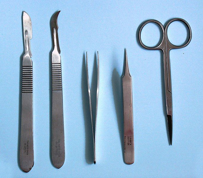 File:Dissection tools.jpg