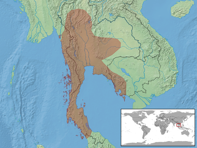 File:Draco taeniopterus distribution.png