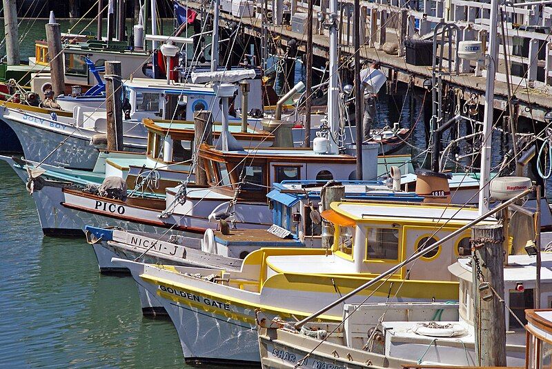 File:Fisherman's Warf.jpg