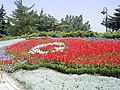 Image 24Flag of Turkey, from flowers