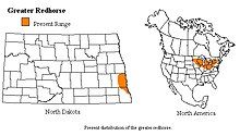 The distribution of the Greater Redhorse extends latitudinally from southeastern North Dakota to eastern New York and longitudinally from northern Michigan to southern Ohio.