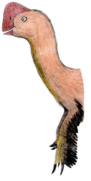 File:Hagryphus2.jpg