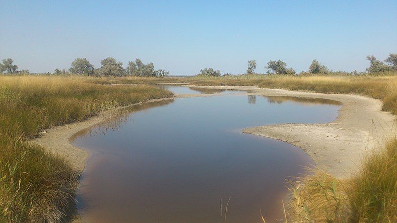 File:Kinburn sandbar 11.jpg