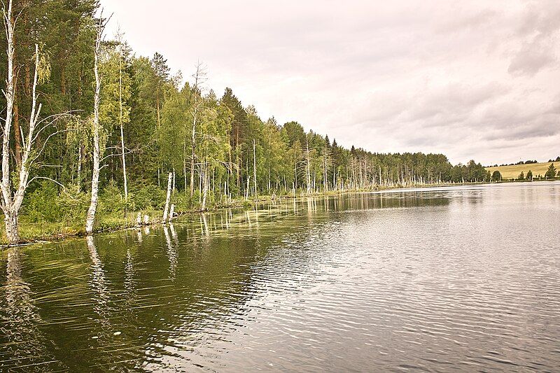 File:Lake near Tarnoga.jpg